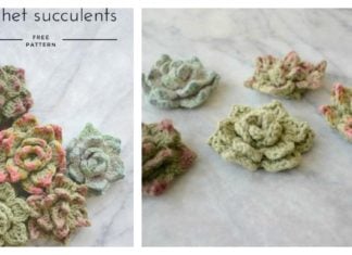 Succulents Free Crochet Pattern