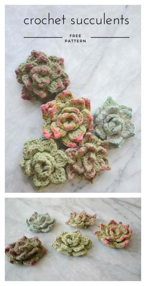  Succulents Free Crochet Pattern
