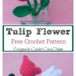 Tulip Flower Free Crochet Pattern