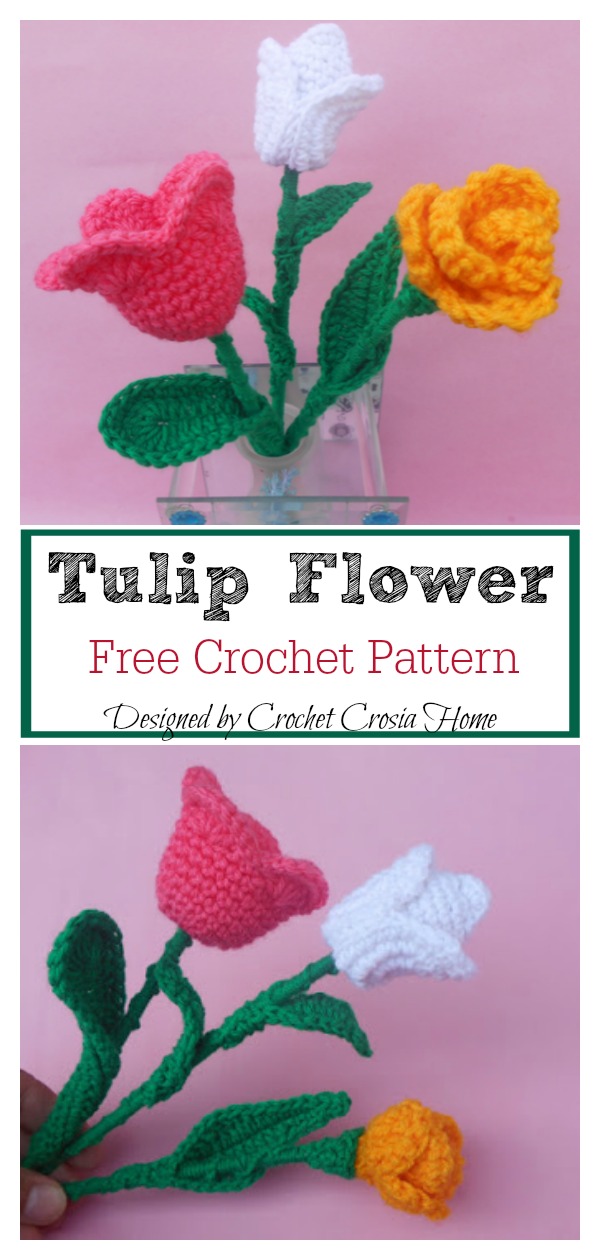 Tulip Flower Free Crochet Pattern 
