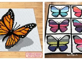 Butterfly Graphgan Afghan Blanket Free Crochet Pattern