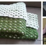 Double Sided Baby Shell Blanket Free Crochet Pattern