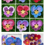 Granny’s Pansy Free Crochet Pattern