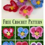 Granny’s Pansy Free Crochet Pattern