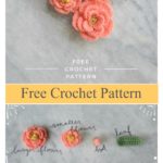 Tiny Peony Flower Free Crochet Pattern