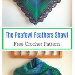 The Peafowl Feathers Shawl Free Crochet Pattern