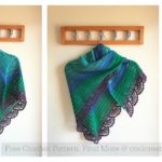 The Peafowl Feathers Shawl Free Crochet Pattern