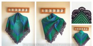 The Peafowl Feathers Shawl Free Crochet Pattern