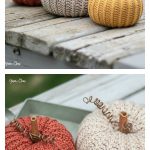 Autumn Pumpkin Free Crochet Pattern