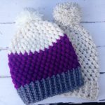 Adult Puff Stitch Beanie Hat Free Crochet Pattern
