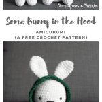 Amigurumi Bunny in Hoodie Free Crochet Pattern