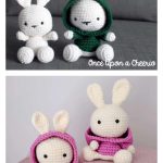 Amigurumi Bunny in Hoodie Free Crochet Pattern