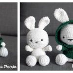 Amigurumi Bunny in Hoodie Free Crochet Pattern