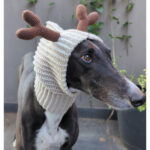 Reindeer Greyhound Snood Free Crochet Pattern