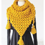 Rose Petals Shawl Free Crochet Pattern