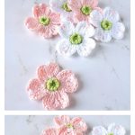 Dogwood Flower Free Crochet Pattern