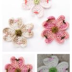 Dogwood Flower Free Crochet Pattern