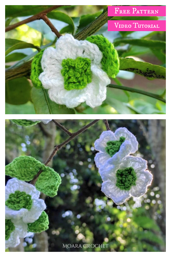 Dogwood Flower Free Crochet Pattern and Video Tutorial