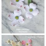 Dogwood Flowers Free Crochet Pattern