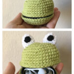 Froggy Zippered Pouch Free Crochet Pattern