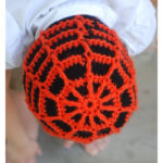 Spiderweb Beanie Hat Free Crochet Pattern