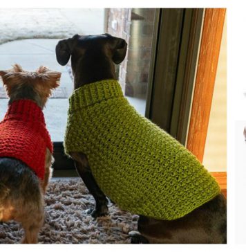 Dog Coat Free Crochet Pattern