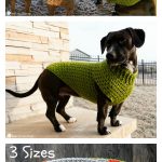 Easy Dog Sweater Free Crochet Pattern