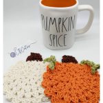 Meadow Pumpkin Coasters Crochet Pattern