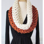 Sea Shells Cowl Free Crochet Pattern