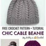 Braided Cable Beanie Hat Free Crochet Pattern