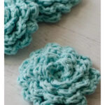 Flower Face Scrubbies Free Crochet Pattern