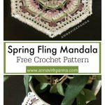 Spring Fling Flower Mandala Hexagon Free Crochet Pattern