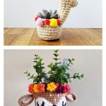 Cute Planter Crochet Patterns