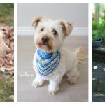 Dog Bandana Free Crochet Pattern