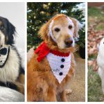 Dog Bandana Free Crochet Pattern