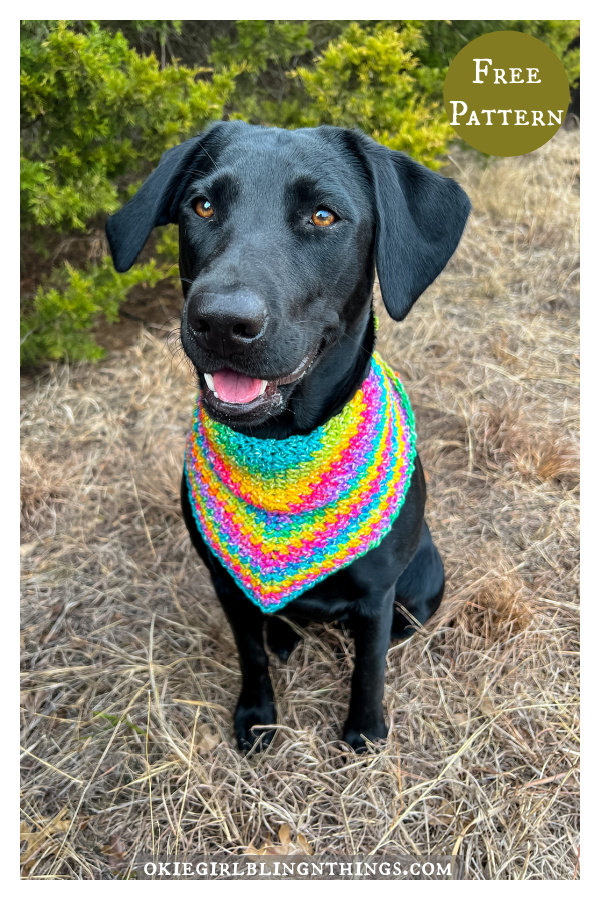 Dog Bandana Free Crochet Pattern