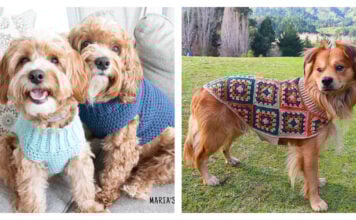 Dog Coat Free Crochet Patterns