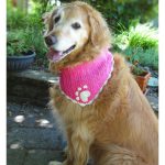 Heart Paw Print Dog Bandana Free Crochet Pattern