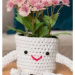 Mini Plant Cozy Pal Free Crochet Pattern