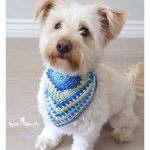 Moss Stitch Dog Bandana Free Crochet Pattern