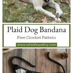 Plaid Dog Bandana Free Crochet Pattern