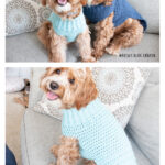 Pullover Dog Sweater Free Crochet Pattern