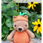 Pumpkin Patch Bear Free Crochet Pattern