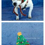 Christmas Tree Dog Hat Crochet Pattern