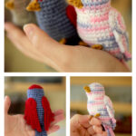 Amazing Bird Amigurumi Free Crochet Pattern