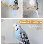 Adorable Parrot Amigurumi Crochet Pattern