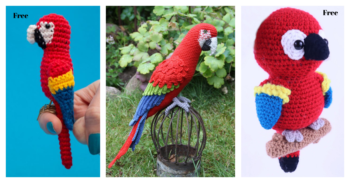 Parrot Amigurumi Free Crochet Pattern