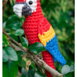 Macaw Parrot Free Crochet Pattern and Video Tutorial