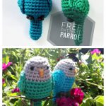 Parrot Amigurumi Free Crochet Pattern