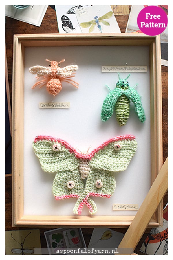 The Entomologist Free Crochet Pattern 